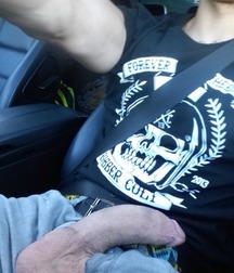 Verry nice cocks 59d4a33052eb2.jpg