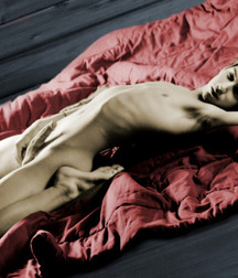 Very horney cocks 59fe17f1e82fd.jpg
