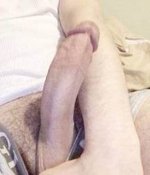 Nice cocks! 5a00a02ddab06.jpg