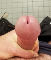 I like this horney cocks 5a169ab4d5929.jpg