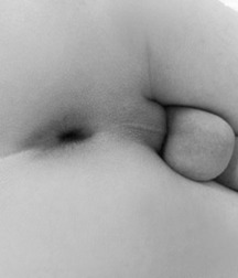 I like this Buts 5a490e6a93cdb.jpg
