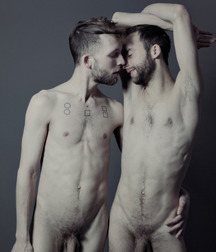 Cocks are friends 5a6a18d82717d.jpg