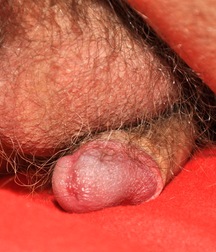 Zachary 59d362f20ca58.jpg