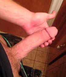 Various Cock Pics 598f241c6348d.jpg