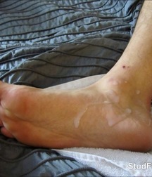 Uncle Ernie's Mix-it-Up II 5992f4a242733.jpg