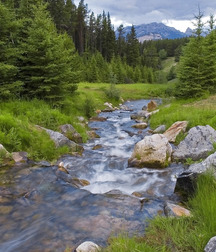 Uncle Ernie's Mix-it-Up IV 59937a842b692.jpg