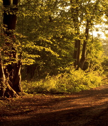 Uncle Ernie's Mix-it-Up V 59937dc6efd46.jpg