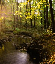 Uncle Ernie's Mix-it-Up VI 599399a3201a9.jpg