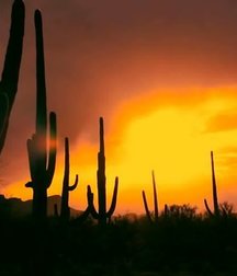 Uncle Ernie's Mix-it-Up VI 599399f8b3b1a.jpg