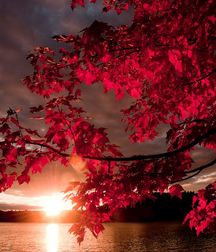 Uncle Ernie's Mix-it-Up VII 599460850b443.jpg