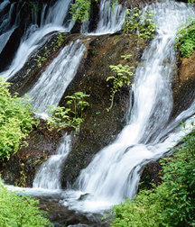 Uncle Ernie's Mix-it-Up VIII 5994c9c0bf647.jpg