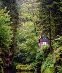 Uncle Ernie's Mix-it-Up VIII 5994ccd519b98.jpg