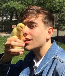 Uncle Ernie's Mix-it-Up XVI 5996dd8927fd5.jpg