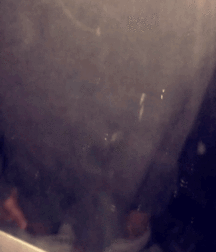 Uncle Ernie's Mix-it-Up XXVI 599e2077a6d55.gif