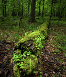 Uncle Ernie's Mix-it-Up XXVII