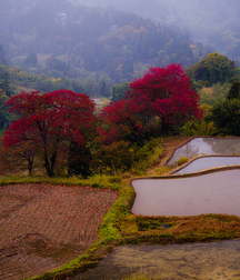 Uncle Ernie's Mix-it-Up XXVII 599e36425cbf5.jpg