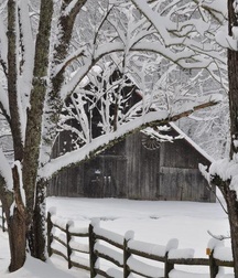 Uncle Ernie's Mix-it-Up XXVIII 599ecc0b34304.jpg