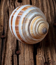 Uncle Ernie's Mix-it-Up XXXI 599eebc23cc2e.jpg