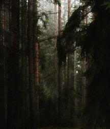 Uncle Ernie's Mix-it-Up XXXI 599eec0d4613f.jpg