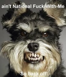 Uncle Ernie's Mix-it-Up XXXVI 599f763ae553e.jpg