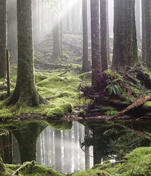 Uncle Ernie's Mix-it-Up XXXVI 599f76f2eda3b.jpg