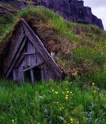 Uncle Ernie's Mix-it-Up XXXVI 599f777c7955f.jpg