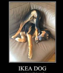 Uncle Ernie's Mix-it-Up XXXVI 599f78540a833.jpg