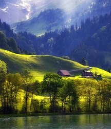 Uncle Ernie's Mix-it-Up XXXVI 599f78f3ec2d5.jpg