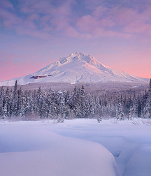 Uncle Ernie's Mix-it-Up XXXIX 59a01db8767f8.jpg