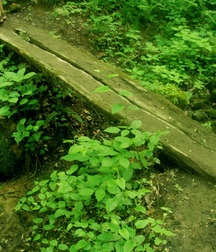 Uncle Ernie's Mix-it-Up XLII 59a1bebbedcde.jpg