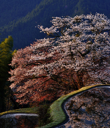 Uncle Ernie's Mix-it-Up XLII 59a1c181b8cee.jpg