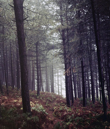 Uncle Ernie's Mix-it-Up XLIV 59a2180f42e61.jpg