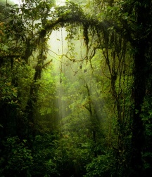 Uncle Ernie's Mix-it-Up XLIV 59a21b9e36a0e.jpg