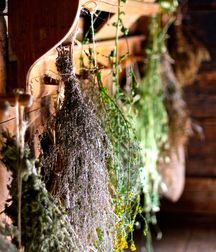 Uncle Ernie's Mix-it-Up XLVIII 59a36e1aaa24f.jpg