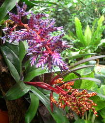 Uncle Ernie's Mix-it-Up XLVIII 59a36e4cedc4f.jpg