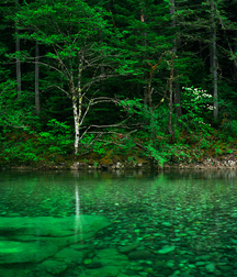 Uncle Ernie's Mix-it-Up XLVIII 59a36fff083e8.jpg