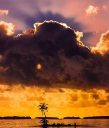 Uncle Ernie's Mix-it-Up XLVIII 59a3719d52785.jpg