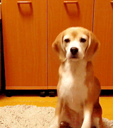 Uncle Ernie's Mix-it-Up LI 59a597ee004a1.gif