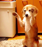 Uncle Ernie's Mix-it-Up LI 59a598171cae6.gif