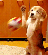 Uncle Ernie's Mix-it-Up LI 59a5983114428.gif