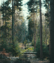 UNCLE ERNIE'S MIX-IT-UP LII 59a60c0b3a727.jpg