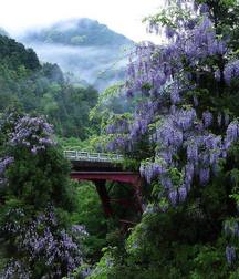 UNCLE ERNIE'S MIX-IT-UP LII 59a60c19d35c8.jpg