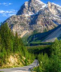 UNCLE ERNIE'S MIX-IT-UP LII 59a60e2ec23a2.jpg