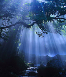 UNCLE ERNIE'S MIX-IT-UP LIV 59a748477a2b1.jpg