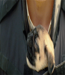 UNCLE ERNIE'S MIX-IT-UP LIV 59a7488ebd32e.gif