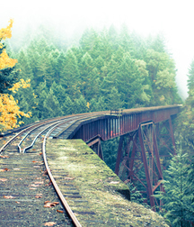 UNCLE ERNIE'S MIX-IT-UP LIV 59a7498eb1771.jpg