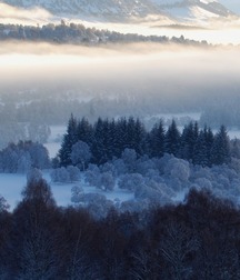 UNCLE ERNIE'S MIX-IT-UP LIV 59a749cbd8f2a.jpg