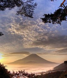 UNCLE ERNIE'S MIX-IT-UP LIV 59a749f0c820b.jpg