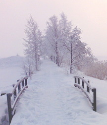 UNCLE ERNIE'S MIX-IT-UP LIV 59a74b9762e3e.jpg