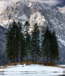 UNCLE ERNIE'S MIX-IT-UP LIV 59a74c1238b0c.jpg